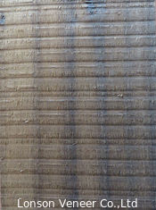 Rohschnitt gedampftes Eukalyptus-Furnier-Blatt lamellierte Naturholz 0.5mm